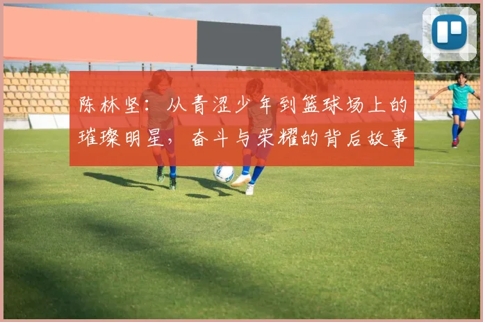 陈林坚：从青涩少年到篮球场上的璀璨明星，奋斗与荣耀的背后故事