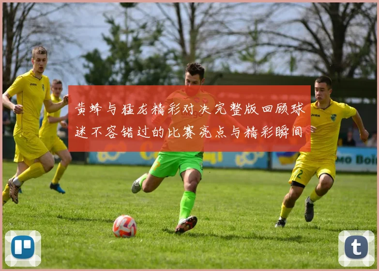 黄蜂与猛龙精彩对决完整版回顾球迷不容错过的比赛亮点与精彩瞬间