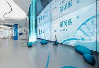 南平仿真草坪安装